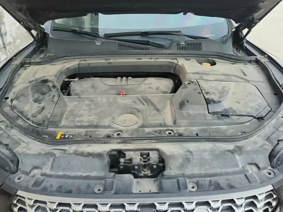 WEY VV5 2021 1.5T FWD Yan Xianfeng