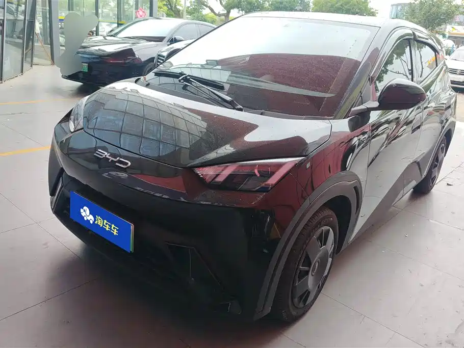 BYD Seagull 2023 Vitality Edition