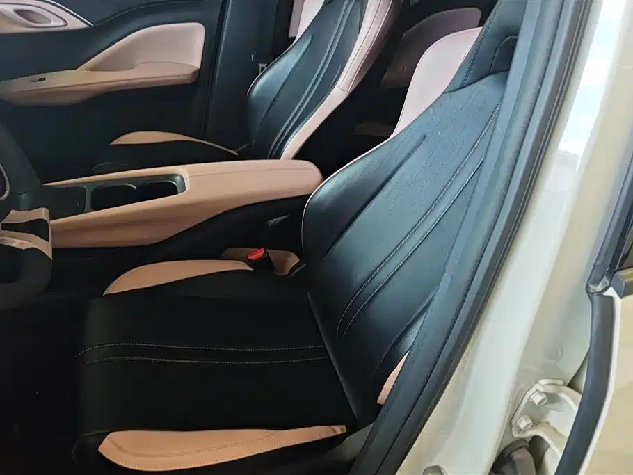 BYD Seagull 2023 Vitality Edition