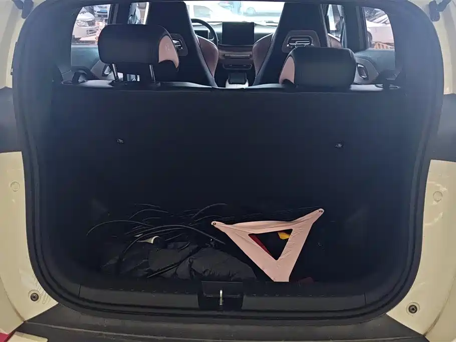 BYD Seagull 2023 Vitality Edition