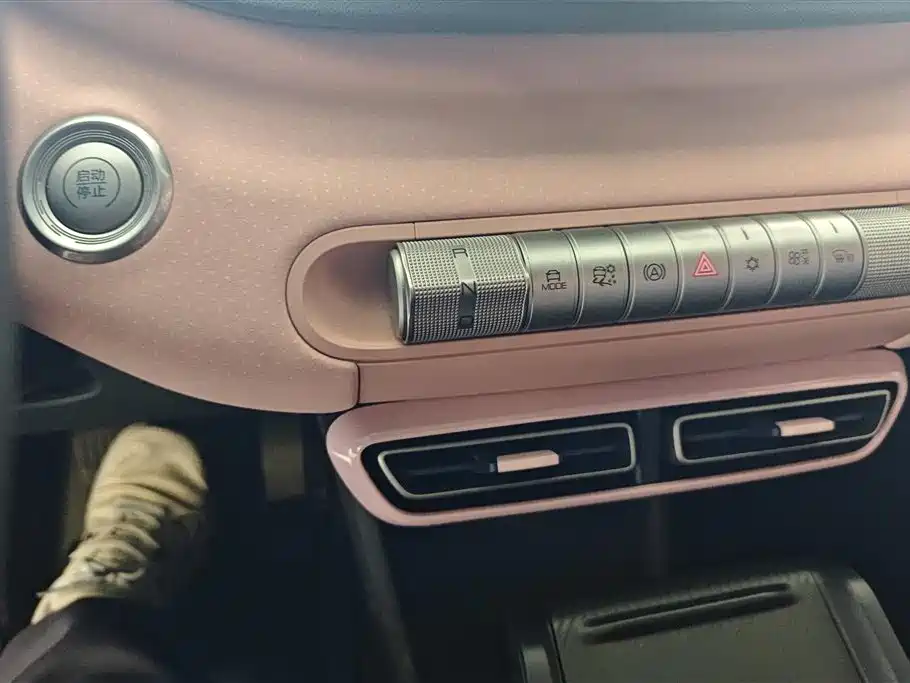 BYD Seagull 2023 Vitality Edition