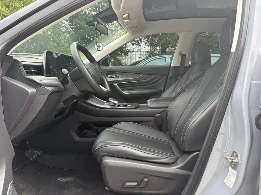 Venucia Big V 2021 260T Tianwang Edition