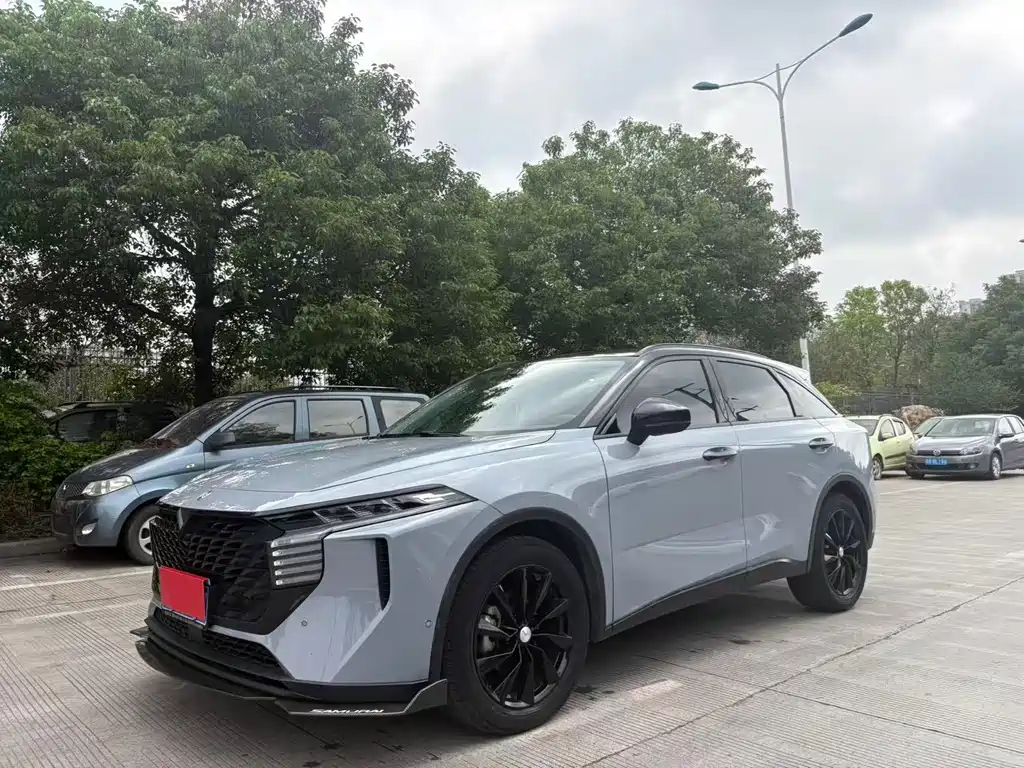 Venucia Big V 2021 260T Tianwang Edition