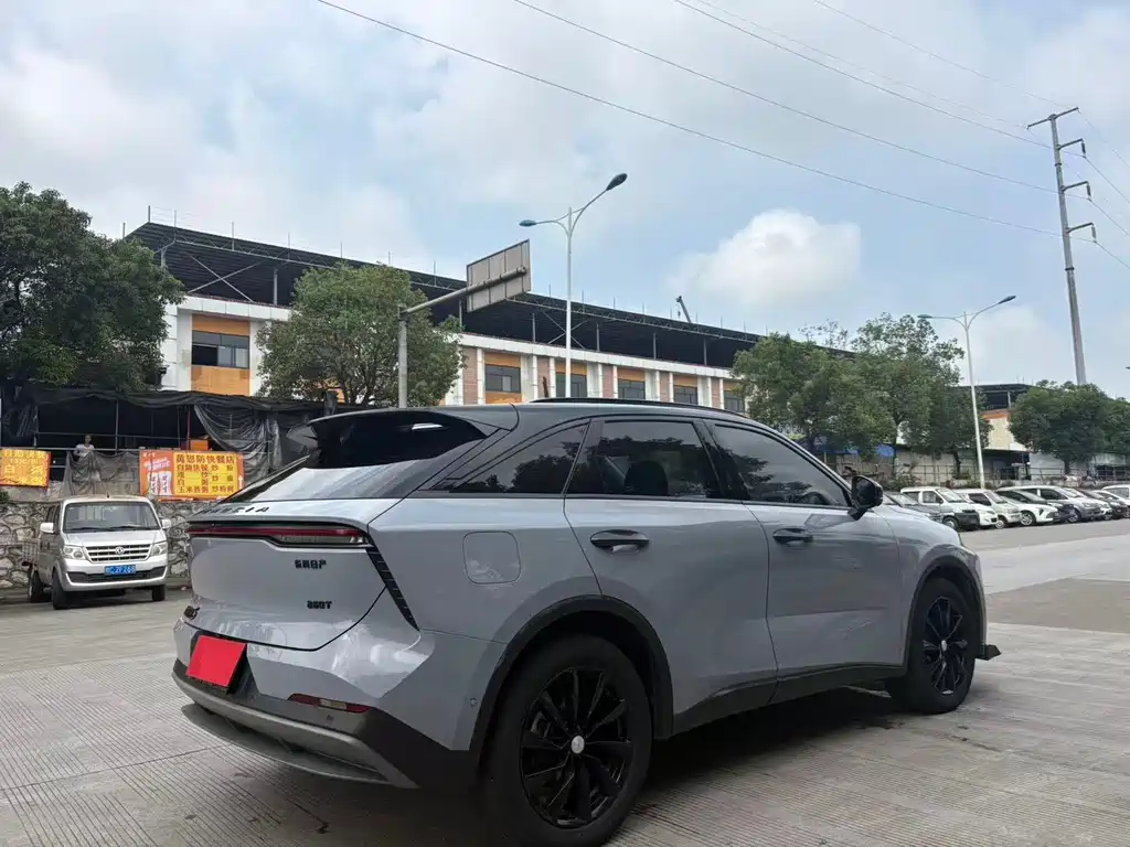 Venucia Big V 2021 260T Tianwang Edition