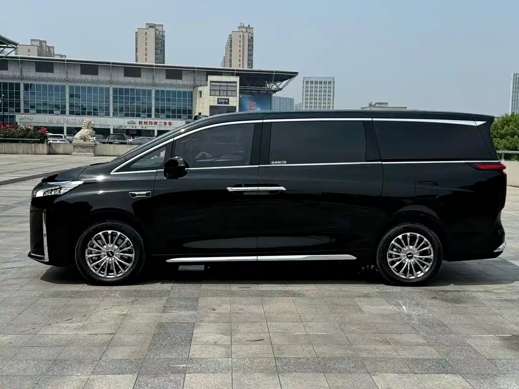 WEY Gaoshan 2025 AWD Gaoshan 8