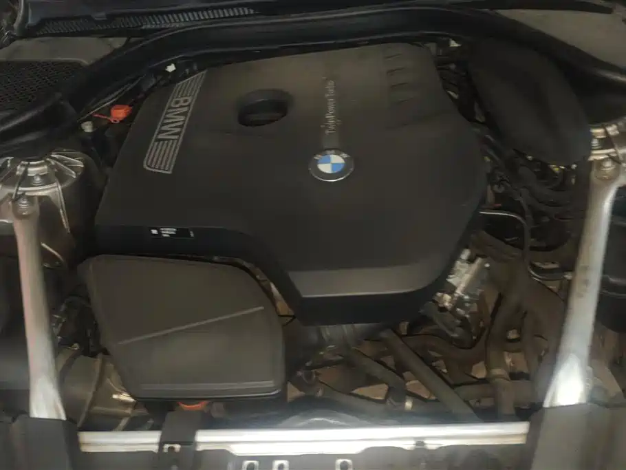 BMW 5 Series 2020 525Li Luxury Package - фото 10