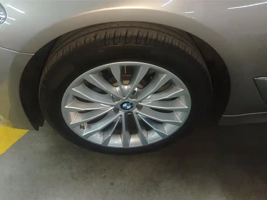 BMW 5 Series 2020 525Li Luxury Package - фото 6