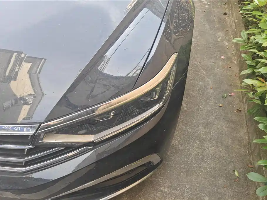 Volkswagen Magotan 2020 330TSI DSG Luxury