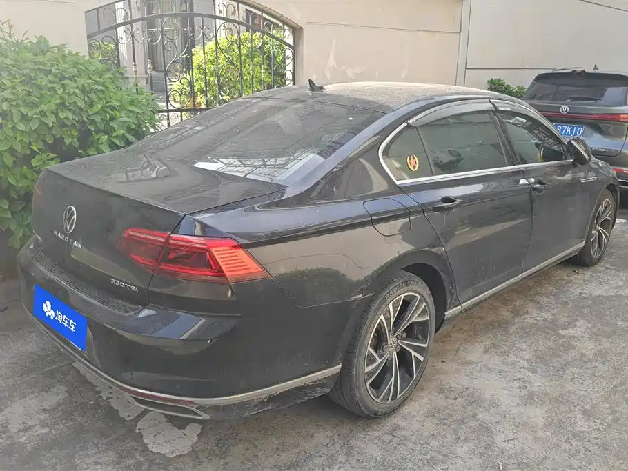 Volkswagen Magotan 2020 330TSI DSG Luxury