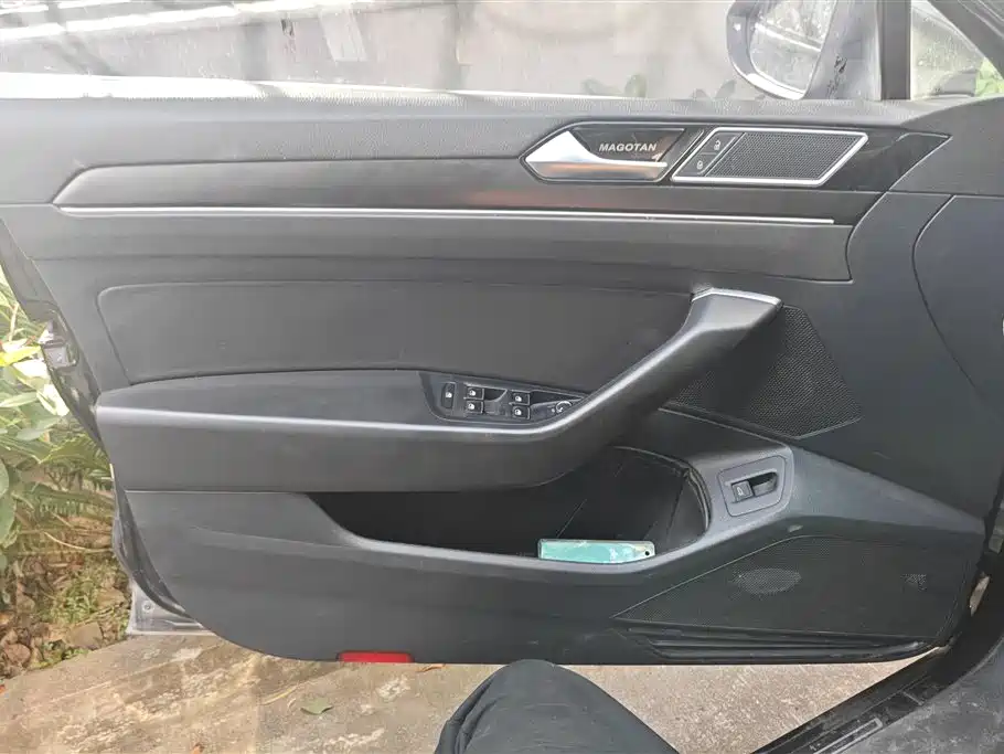 Volkswagen Magotan 2020 330TSI DSG Luxury