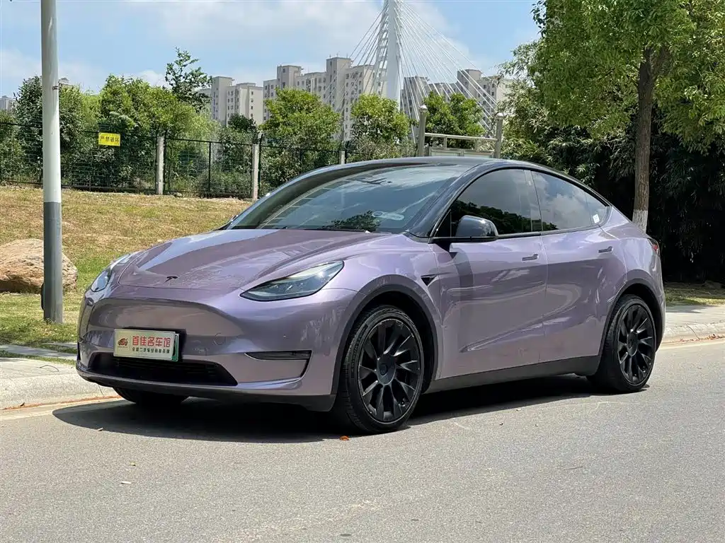 Model Y 2021 Standard Range Rear-Wheel Drive