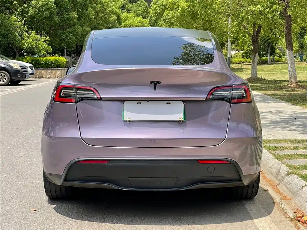 Model Y 2021 Standard Range Rear-Wheel Drive