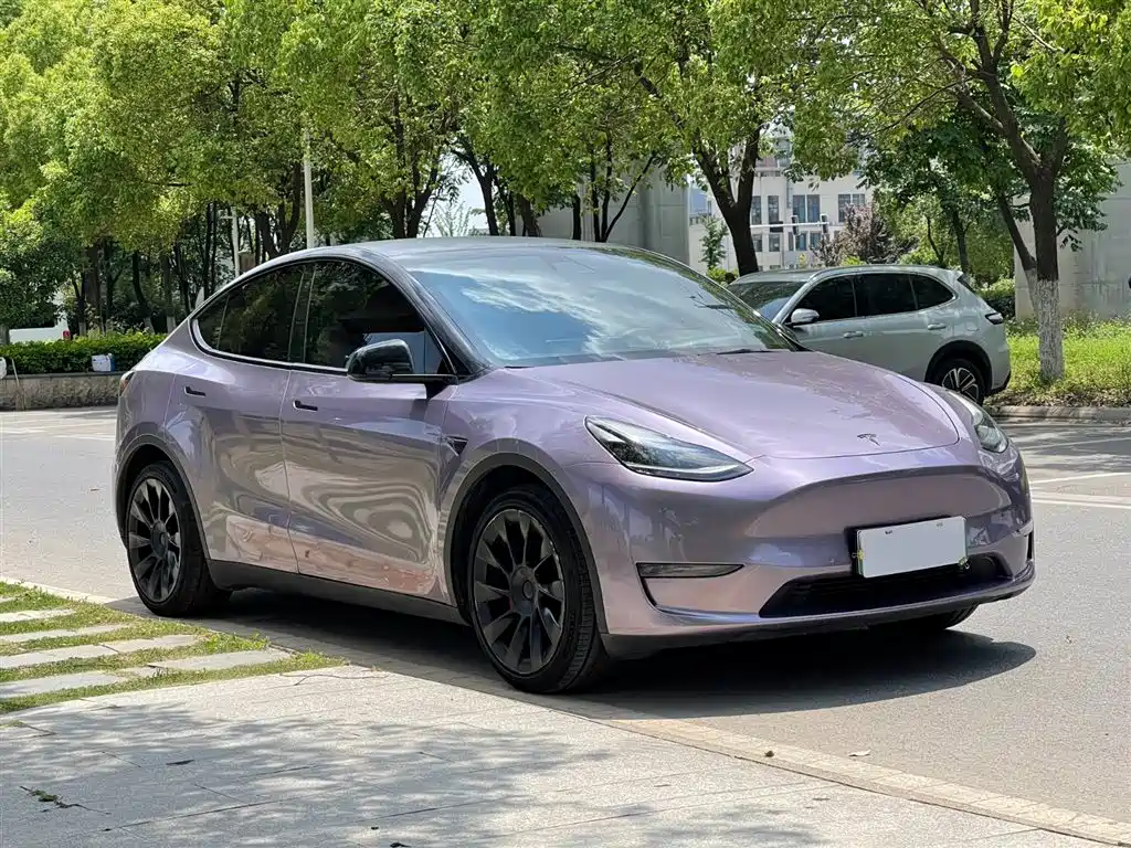Model Y 2021 Standard Range Rear-Wheel Drive