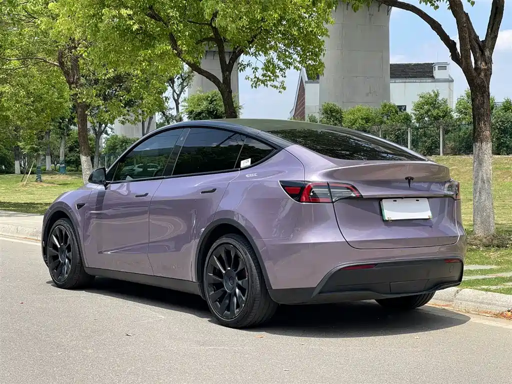 Model Y 2021 Standard Range Rear-Wheel Drive