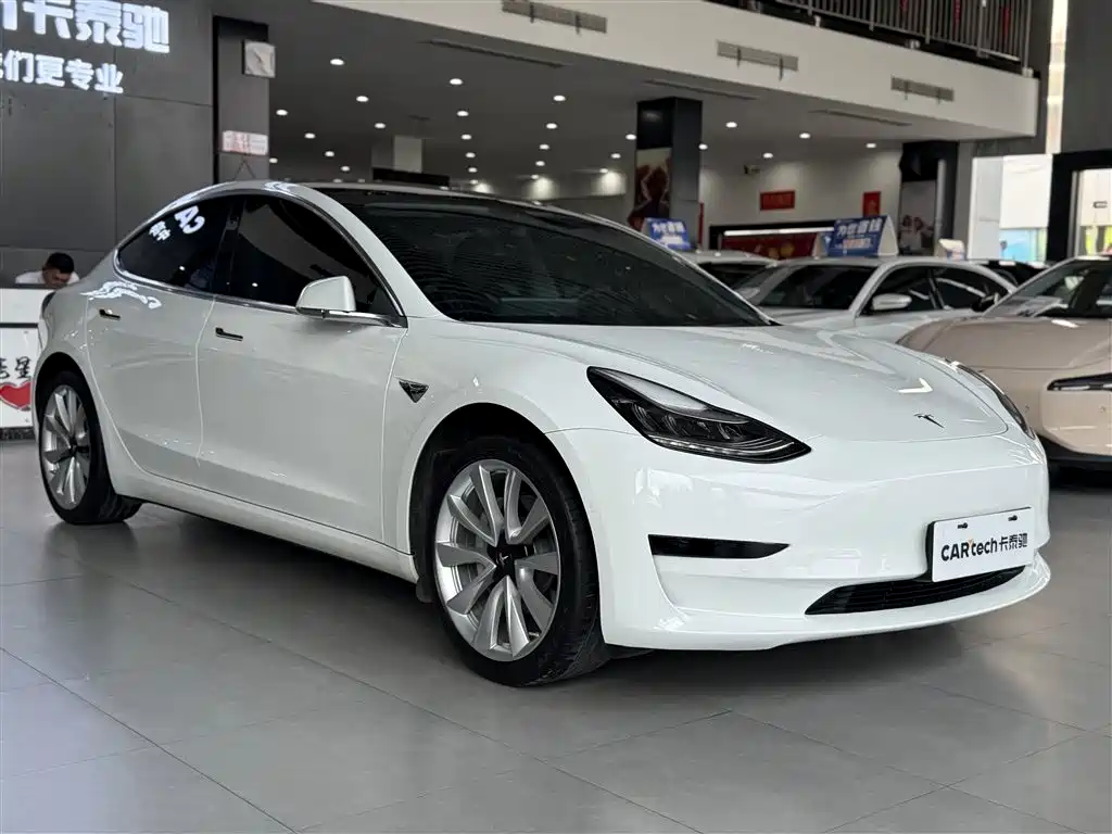 Model 3 2019 Standard Range Plus RWD