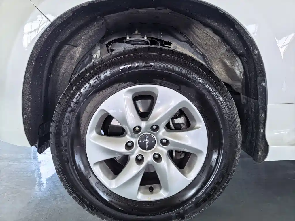 Haval H9 2020 model 2.0T Gasoline 4WD Elite Edition 5-Seater