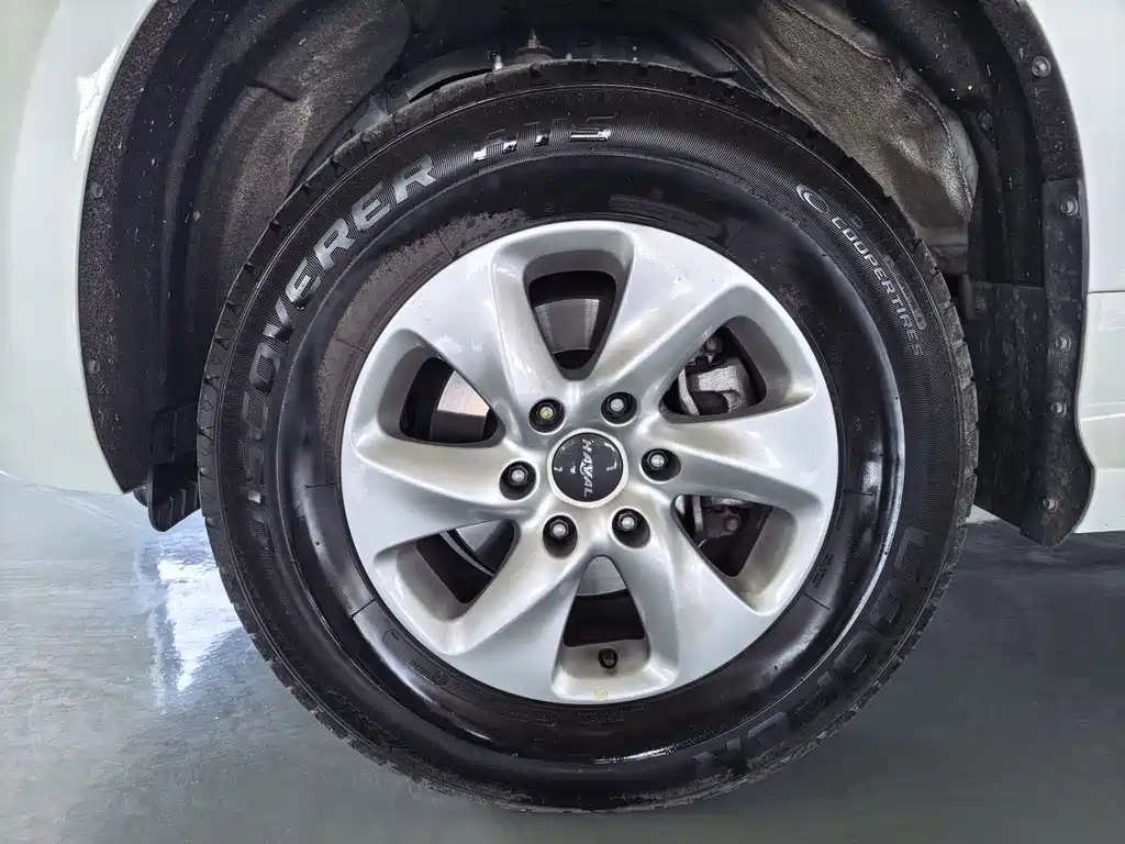 Haval H9 2020 model 2.0T Gasoline 4WD Elite Edition 5-Seater