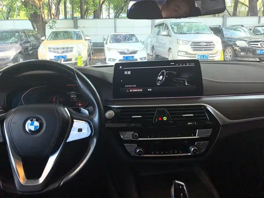 BMW 5 Series 2021 530Li xDrive Luxury Package - фото 13