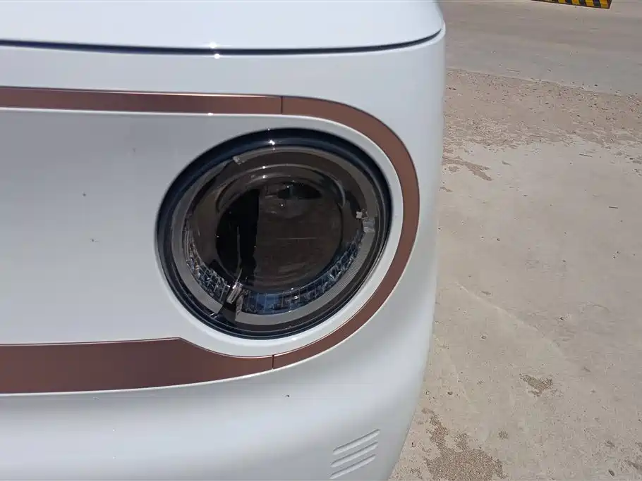 Geely Panda Mini 2023 200km Endurance Edition