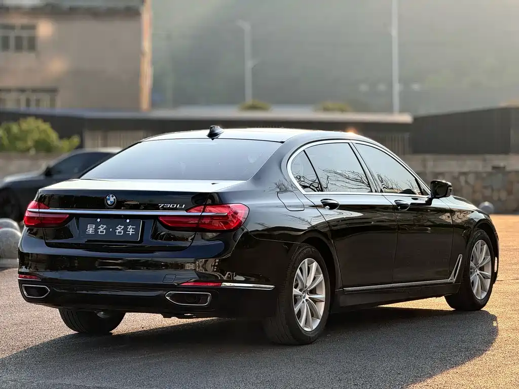 BMW 7 Series 2017 730Li Luxury - фото 7