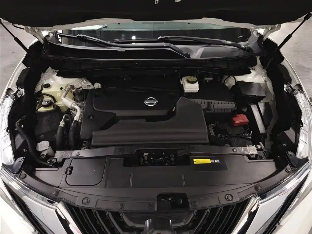 Nissan Murano 2017 2.5L XL FWD Zhi Shang Edition