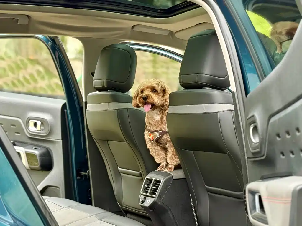 Citroën C5 Aircross 2017 350THP Fashion Edition