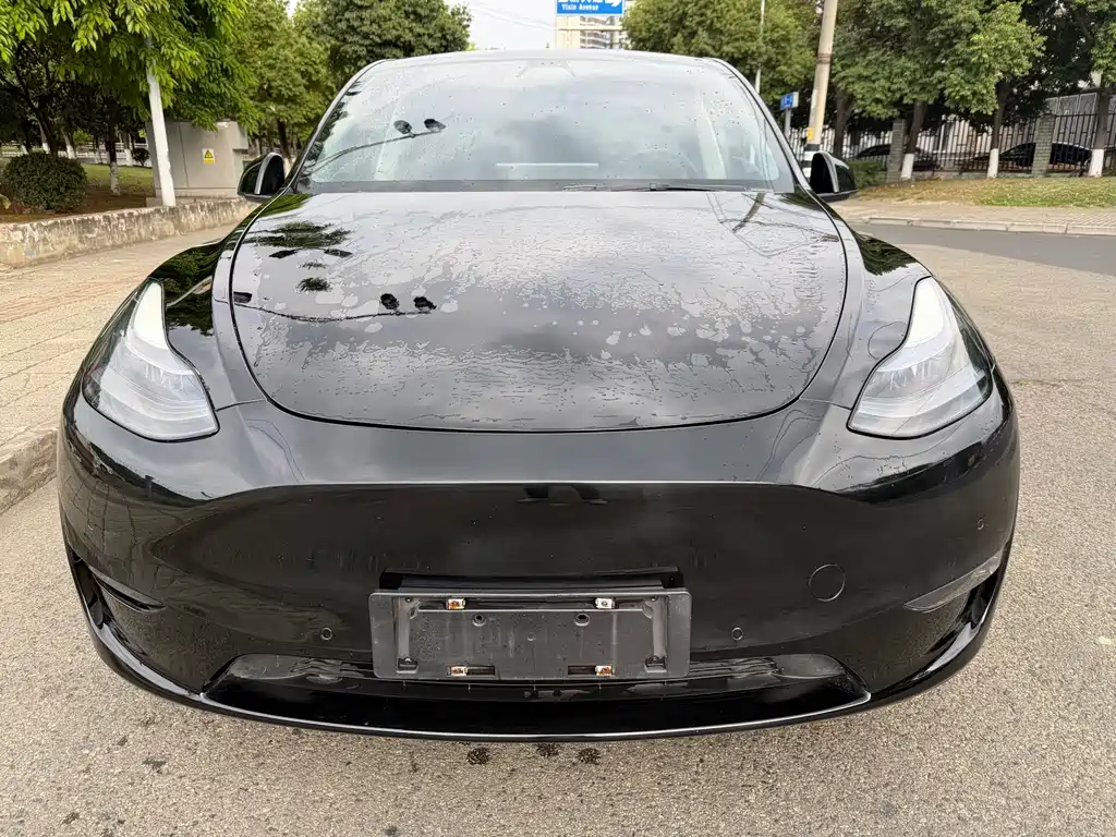 Model Y 2021 Standard Range RWD