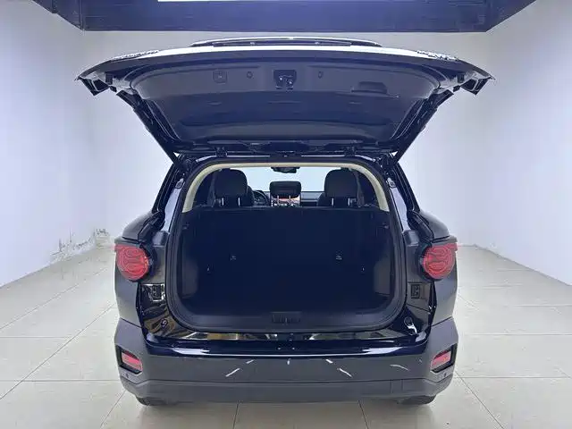 Haval Big Dog 2024 2.0T DCT Chinese Rural Dog Edition