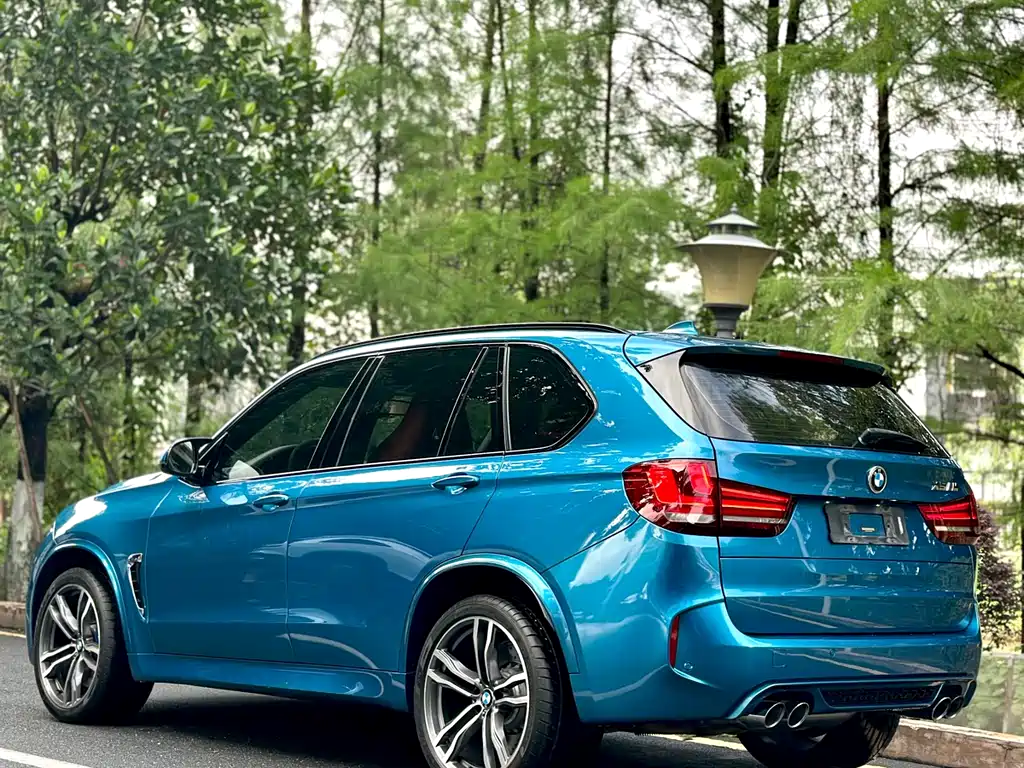 BMW X5 M 2013 - фото 14