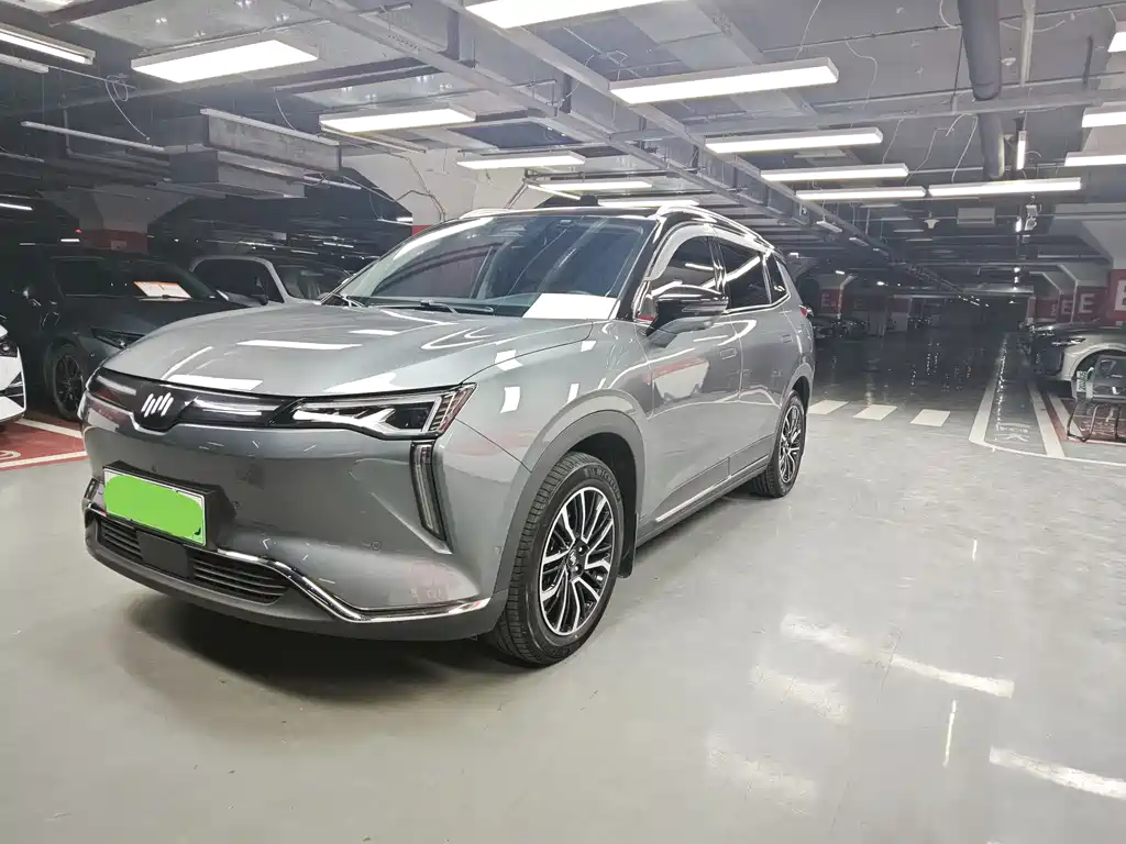WM W6 2021 520km ACE Edition