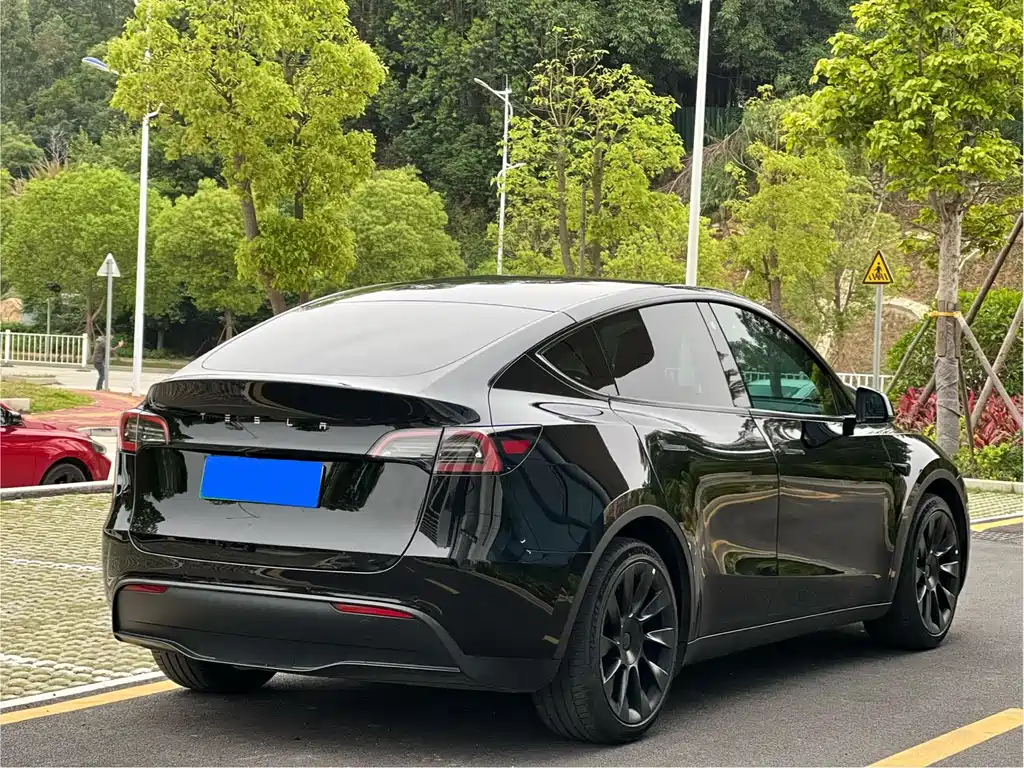 Tesla Model Y 2022 Rear-Wheel Drive