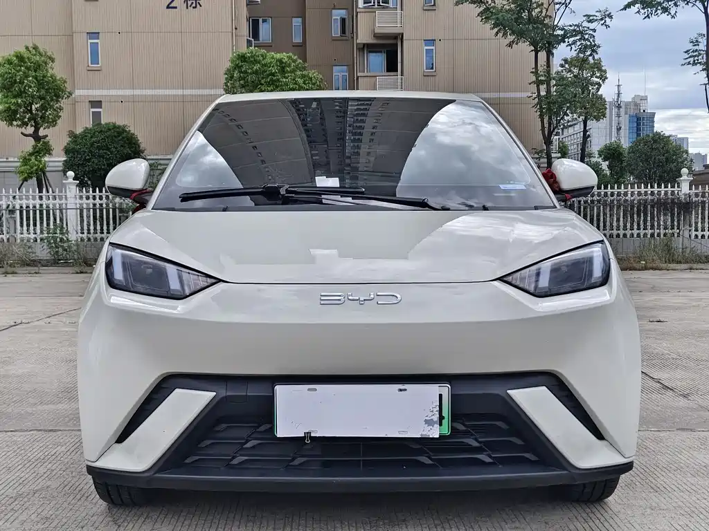 BYD Seagull 2025 Intelligent Driving Edition 305km Freedom Edition