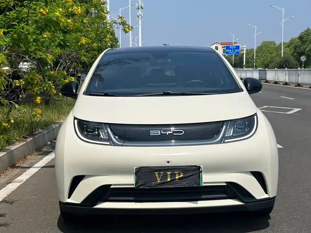 BYD Dolphin 2023 420km Fashion Edition