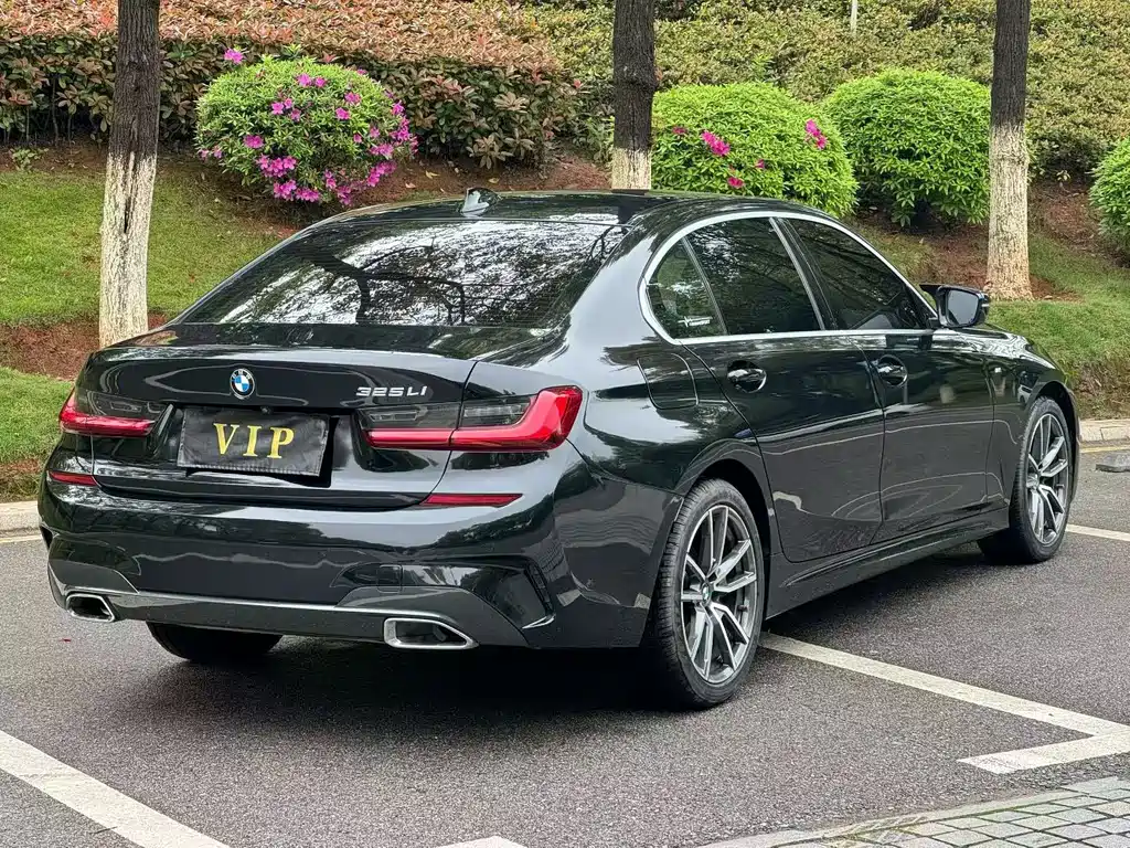 BMW 3 Series 2020 325Li M Sport Package - фото 9