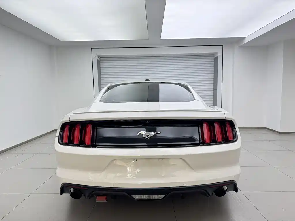 Mustang 2017 2.3T Performance Edition