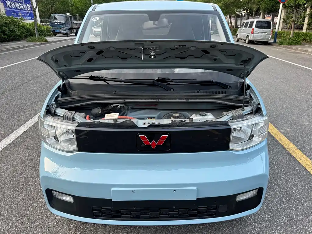 Hongguang MINIEV 2020 Yue Xiang Edition LFP