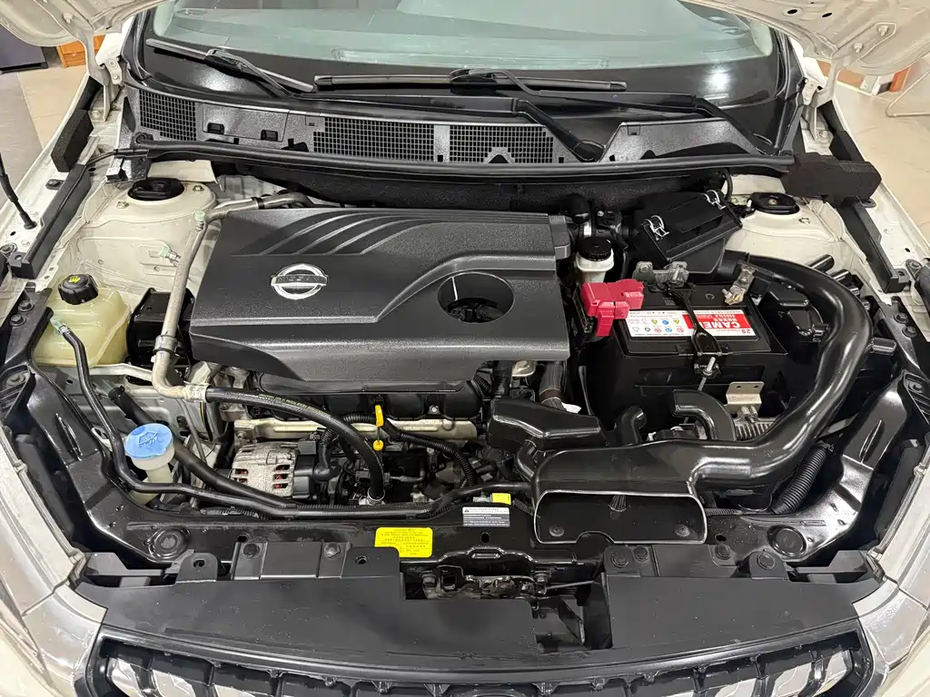Venucia T70 2019 2.0L CVT Ruixiang Edition China VI
