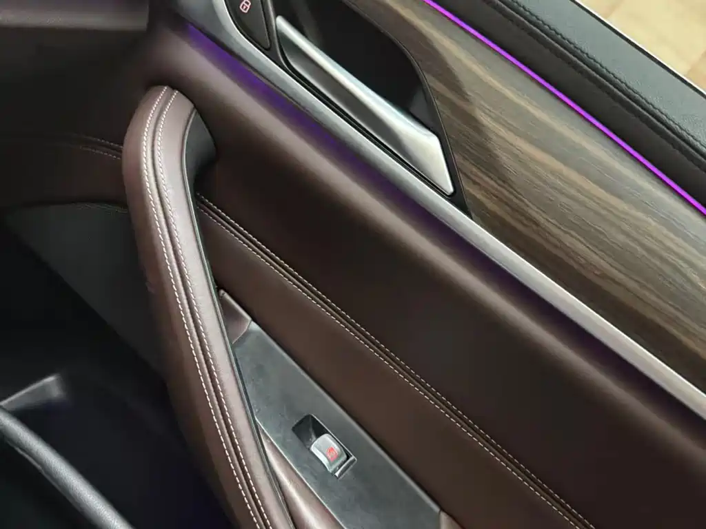 BMW 5 Series 2019 530Li Leading Edition Luxury Package