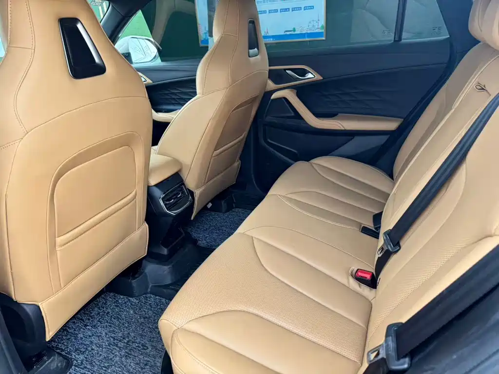 Roewe RX5 2023 1.5T Super Sensory Elite Edition