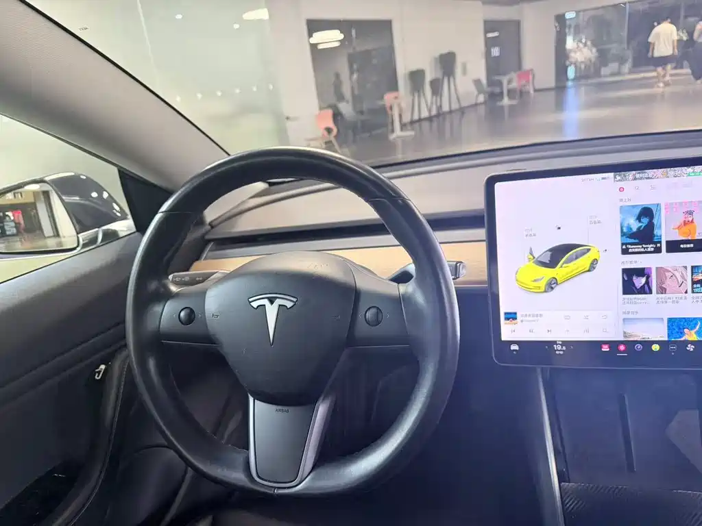 Model 3 Import 2019 Long Range Rear-Wheel Drive