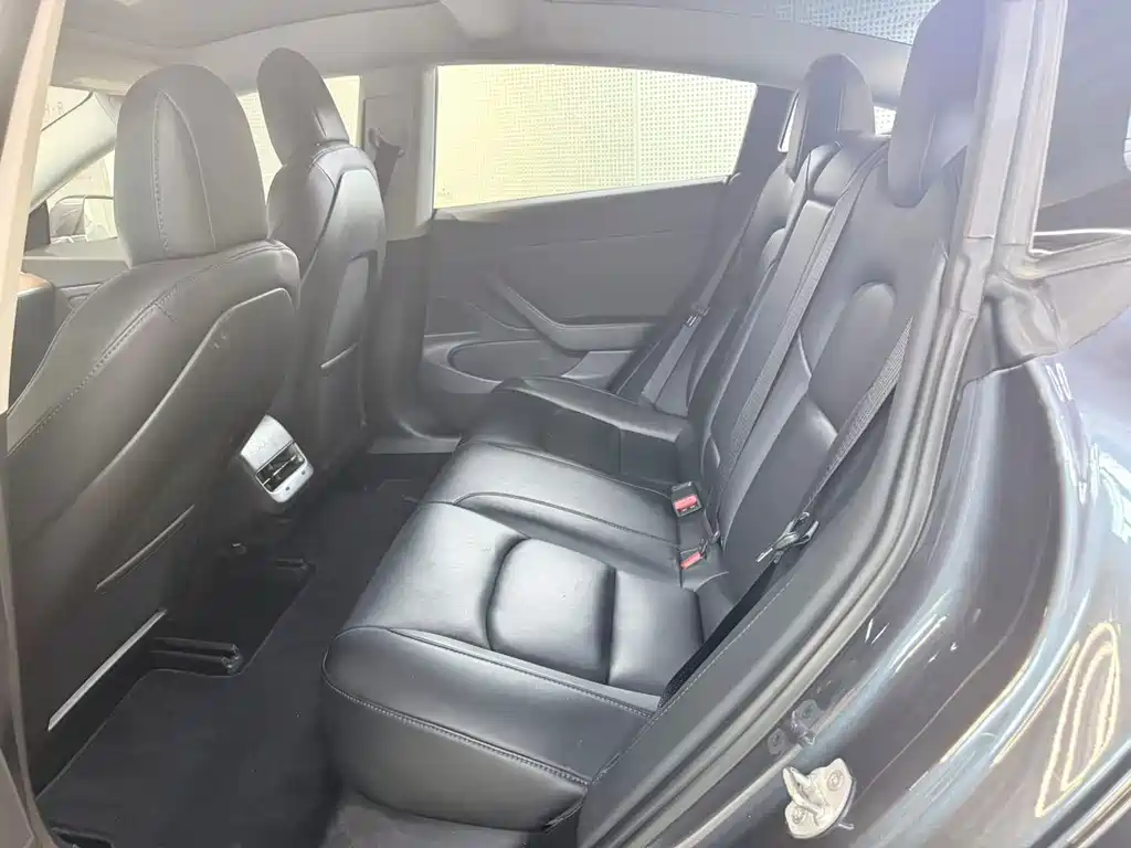Model 3 Import 2019 Long Range Rear-Wheel Drive