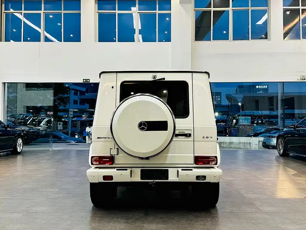 Mercedes-Benz G-Class AMG 2016 AMG G 63 Edition 463