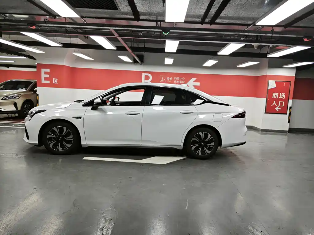 AION S 2019 Evo 530