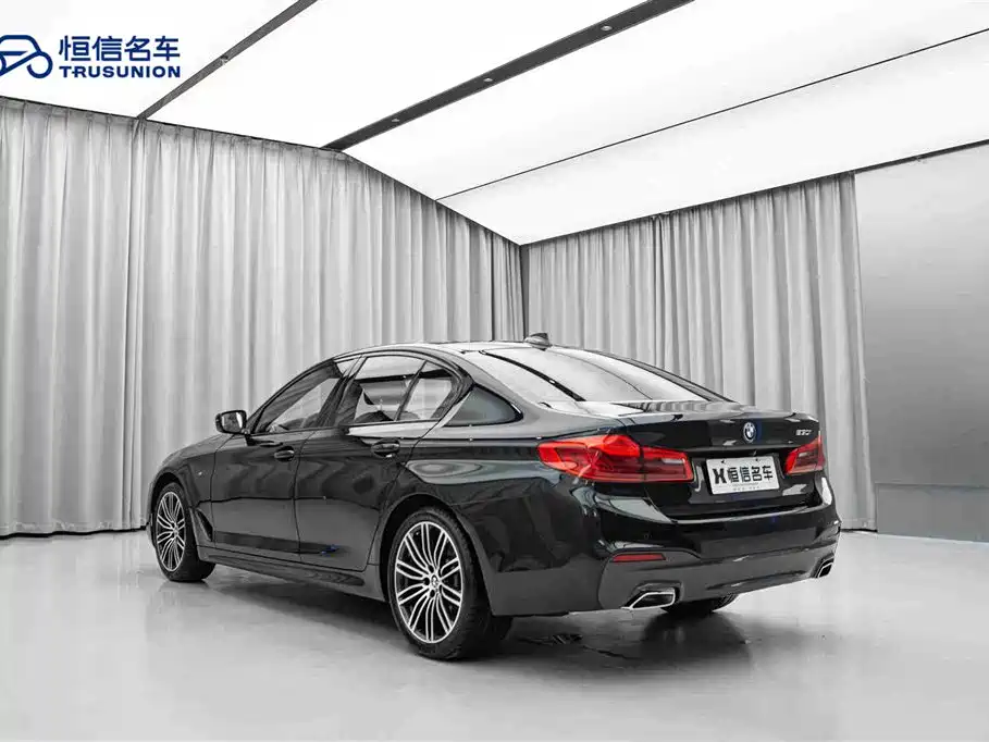 BMW 5 Series Import 2019 530i M Sport Package