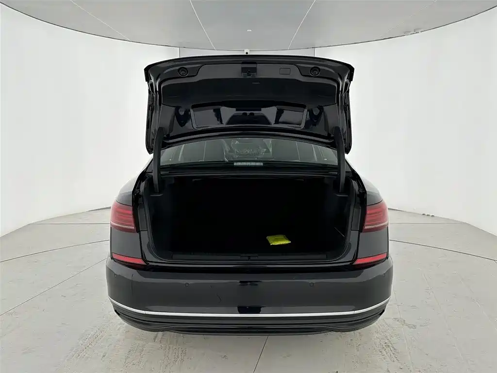 Passat 2026 380TSI Starry Sky Longteng Edition