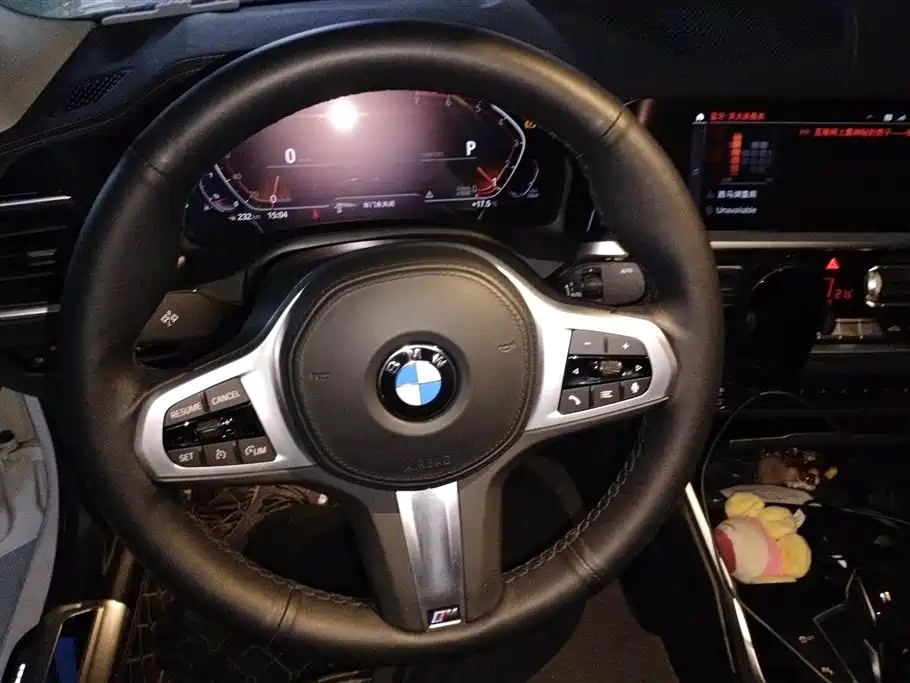 2021 BMW 3 Series 320Li M Sport Package - фото 15