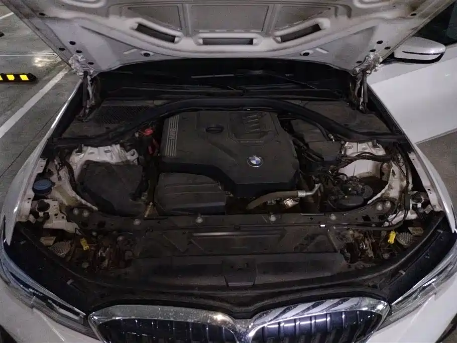 2021 BMW 3 Series 320Li M Sport Package - фото 10