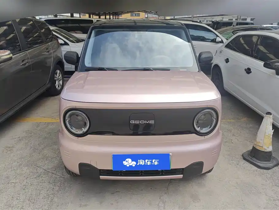 Geely Panda Mini 2024 200km Endurance Edition