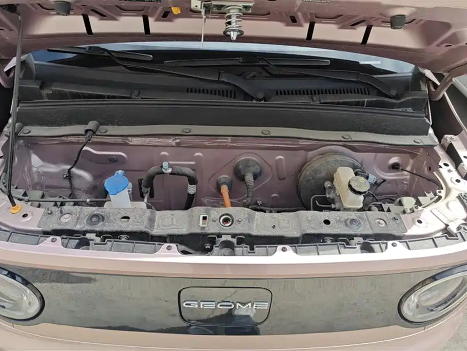Geely Panda Mini 2024 200km Endurance Edition