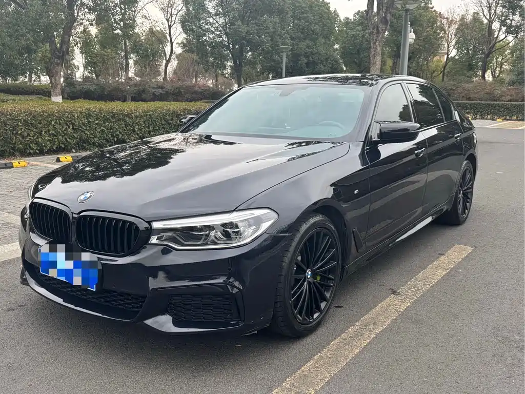 BMW 5 Series 2020 530Li Leading Edition M Sport Package